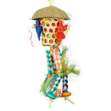 Back Zoo Nature Firecracker Back Zoo Nature Firecracker